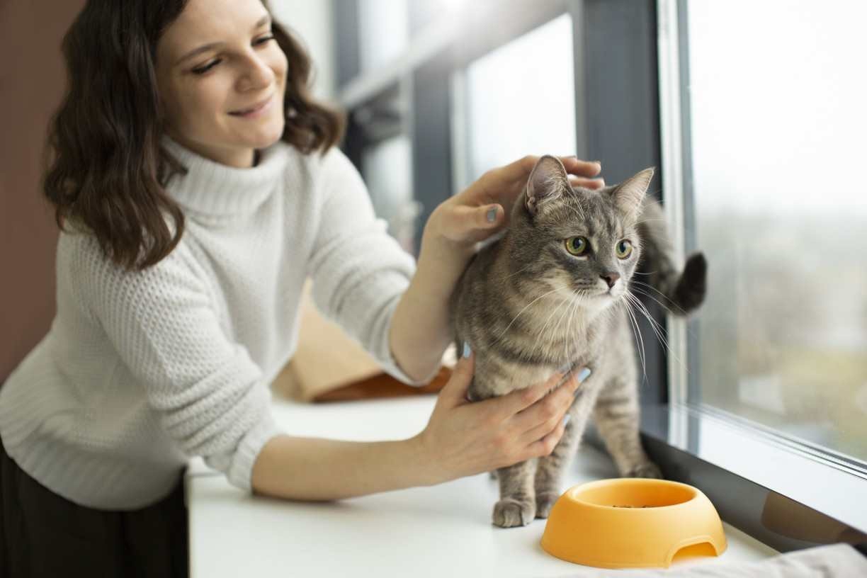 Um em cada quatro tutores de gato pensa no animal de estimação como seu filho
