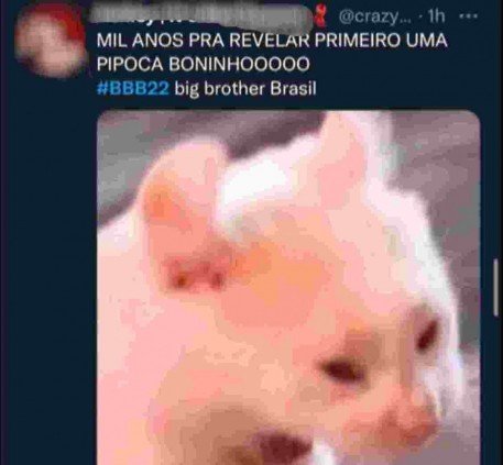 Reprodução/ Twitter