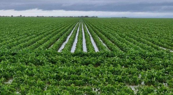 Seca do RS e cheia na Bahia já impactam safras de arroz e feijão em 2022. Preços devem subir