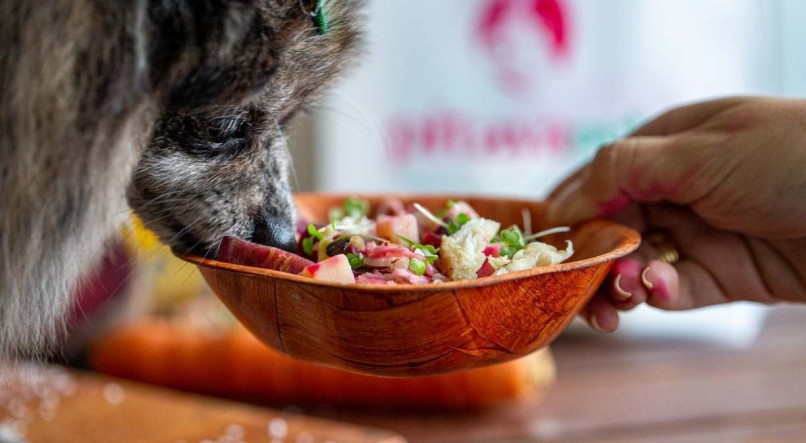 Pitaya Pet, primeira loja física de alimentação natural para pets