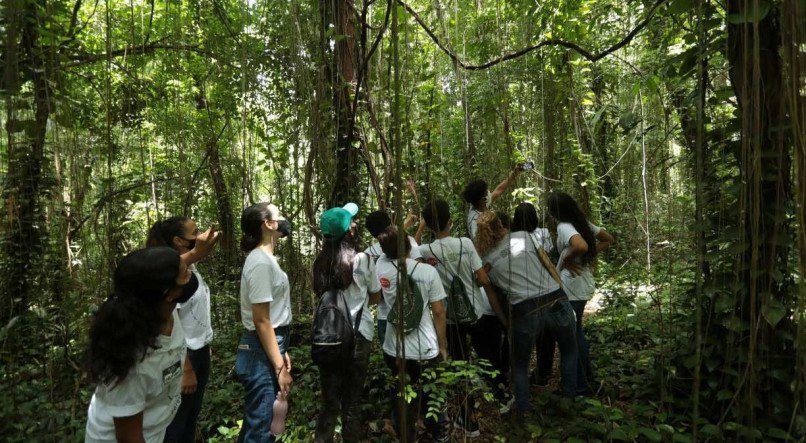 Parque Dois Irm&atilde;os, &aacute;rea preservada de Mata Atl&acirc;ntica, no Recife