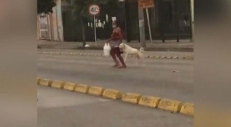 A tutora e seu cão atravessam várias faixas até chegar à calçada do outro lado