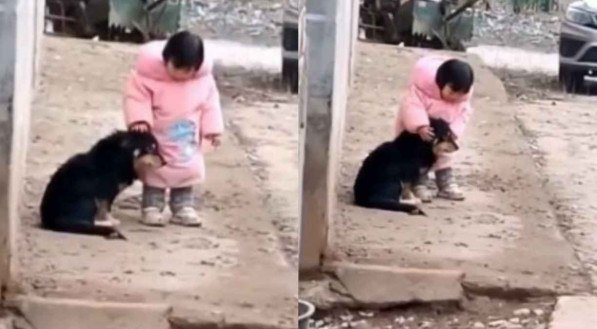 Garotinha tampa ouvidos de cachorro durante queima de fogos no Ano Novo Lunar na China; veja vídeo