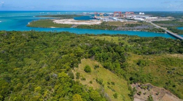 Suape lança Projeto Carbono Neutro para combater efeito estufa