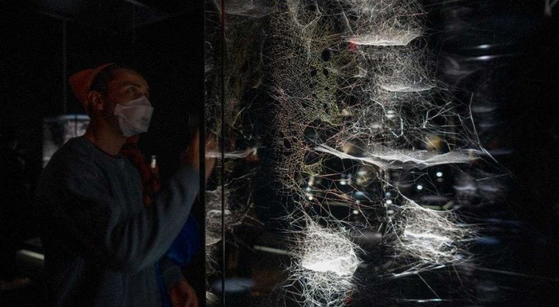 A instalação recebeu o nome de 'Free the Air: how to hear the universe in a spider/web'