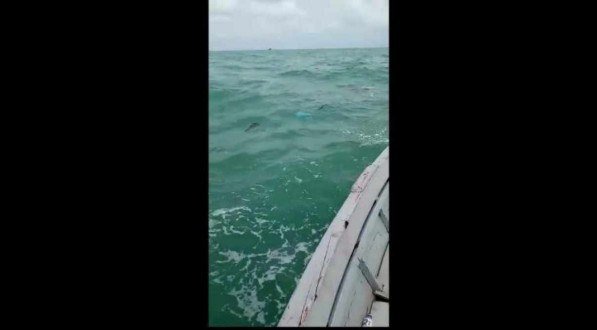 Pescadores relatam excesso de lixo no mar das praias do Litoral Sul de Pernambuco: "só pesquei sacola plástica"