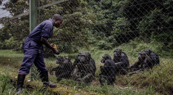 Guerchom NDEBO / AFP