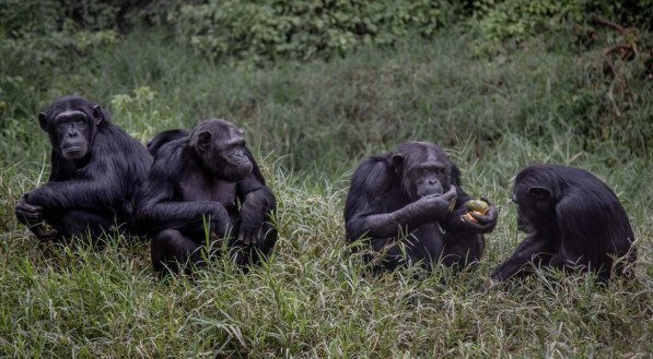 Guerchom NDEBO / AFP