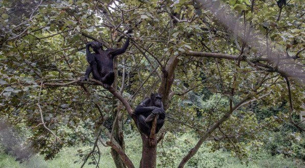 Guerchom NDEBO / AFP