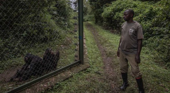 Guerchom NDEBO / AFP