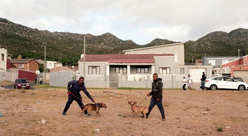 Homens posam com seus cães em Ocean View, Cidade do Cabo