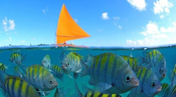 Por trás da paisagem paradisíaca e da efervescência econômica, há uma realidade social preocupante, revelada pelo Índice de Progresso Social (IPS) do IPSBrasil
