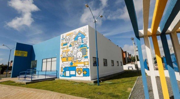 Hospital Veterinário do Recife oferece tratamento para esporotricose em gatos