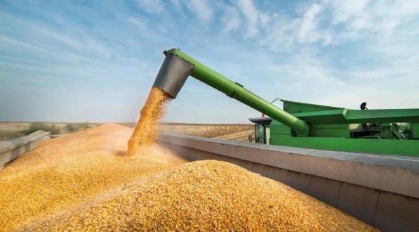 EM ALTA Em apenas 15 anos, o Brasil virou o terceiro maior produtor mundial de milho por causa da guerra