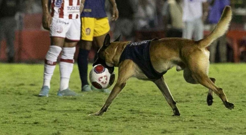 Cachorro da Polícia Militar roubou a cena durante a partida entre Náutico x Retrô, ao invadir o campo
