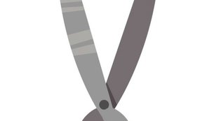 PAULO RUBEM SANTIAGO