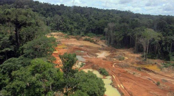 Exemplo de desmatamento na Amazônia 