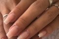 UNHAS