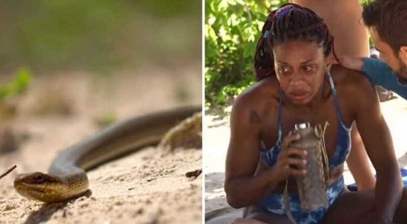 Bruna ficou desesperada com a cobra, e precisou afasta-la com a mão