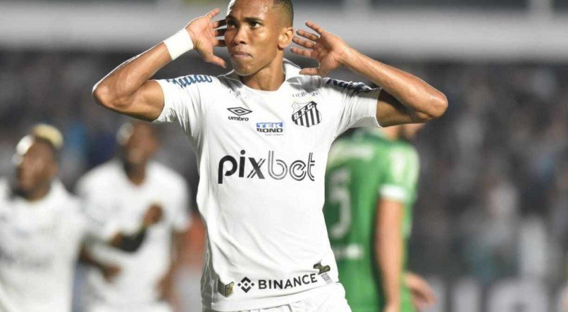 O Santos faz um bom Campeonato Brasileiro.