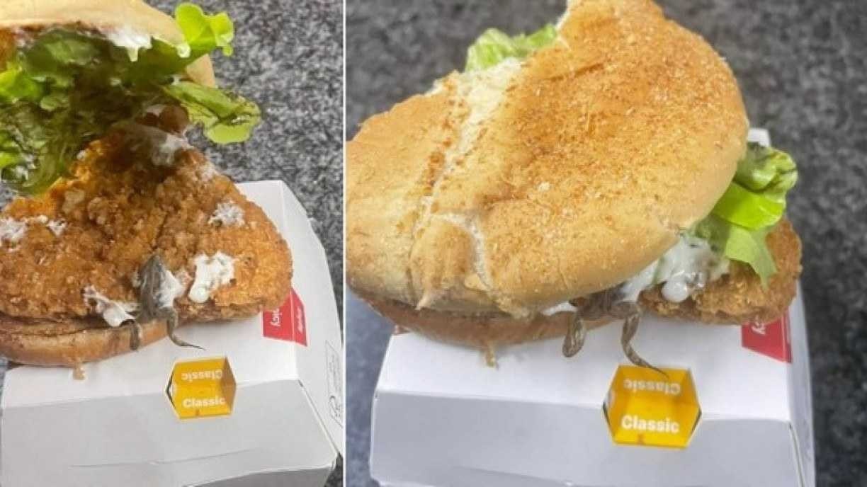 Cliente afirma ter achado sapo em sanduíche da McDonald's