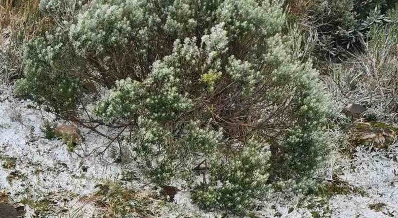Neve em Urupema, na serra catarinense