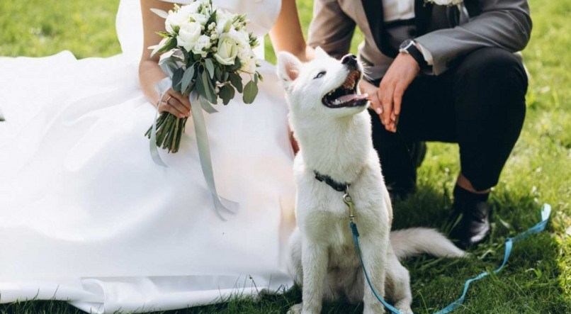 Pajens caninos foram 'barrados' em casamento no Ceará, mas são muito utilizados nas cerimônias