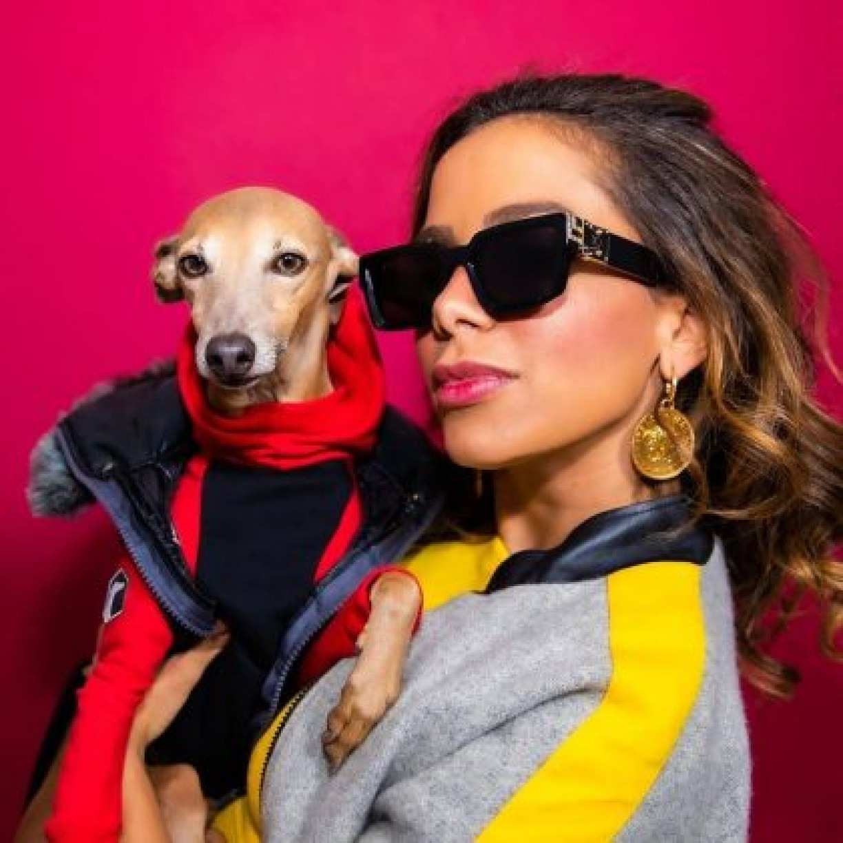 Conheça Plínio: cachorro da Anitta que é sucesso no Instagram