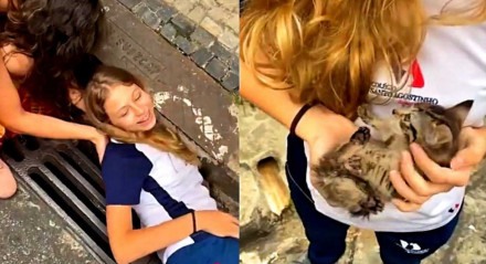 Menina resgata gatinho de bueiro em BH