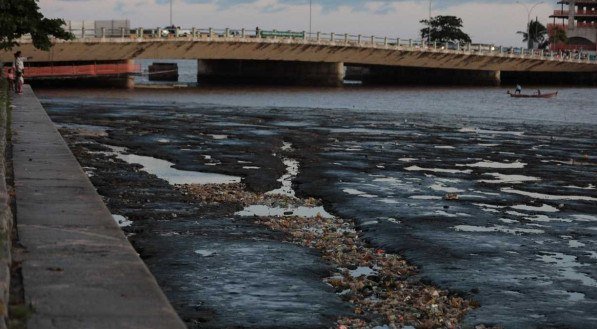 Pernambuco registrou mais de 770 crimes ambientais em 2024
