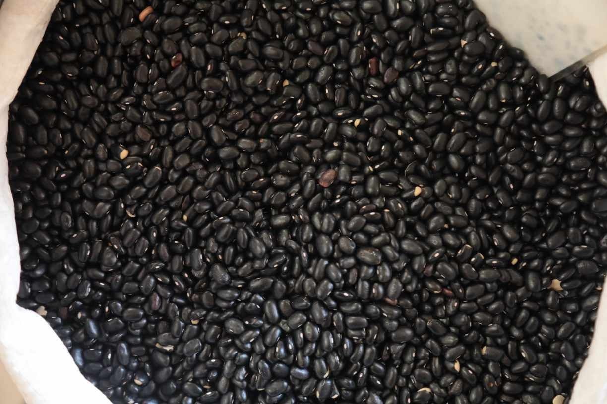 GUGA MATOS/JC IMAGEM 