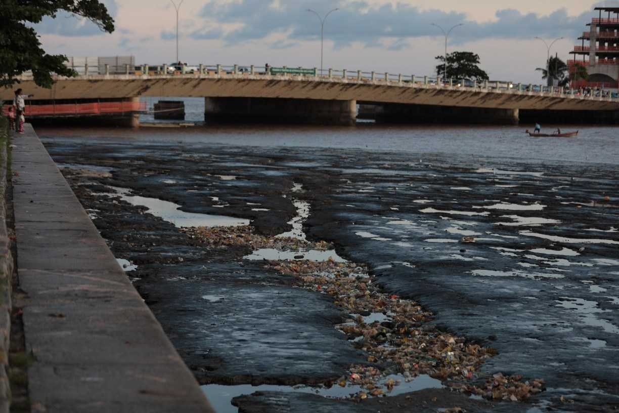 Pernambuco registrou mais de 770 crimes ambientais em 2024