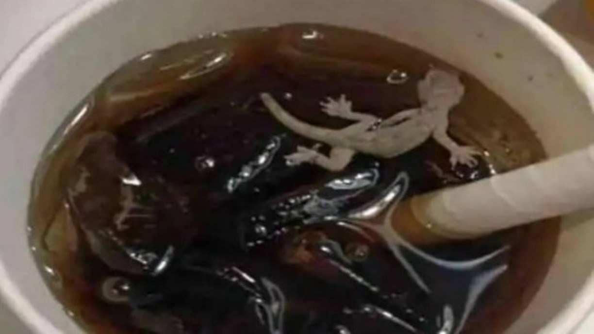VÍDEO: cliente encontra lagartixa em copo de refrigerante da McDonald’s