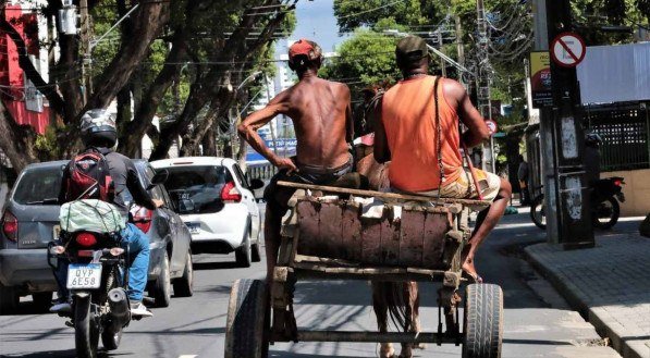 Carroceiros têm receio de perca do sustento com proibição