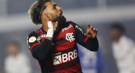 Gabigol marcou o gol que garantiu os três pontos do Flamengo sobre o Santos