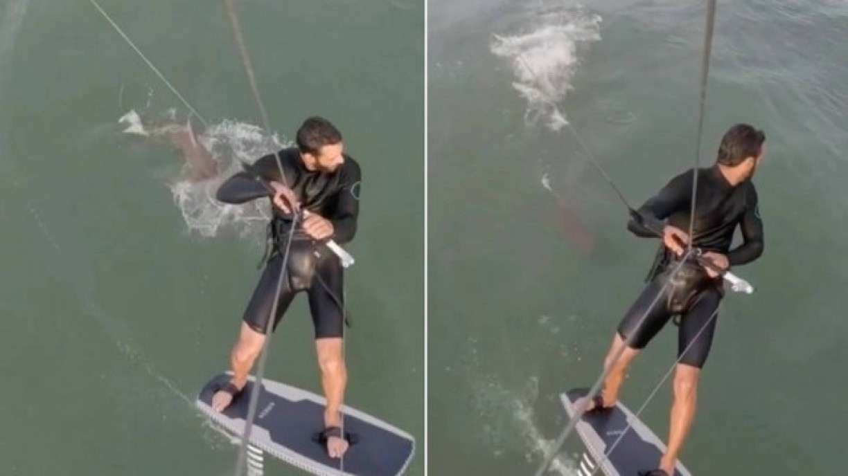Vídeo: Homem é perseguido por tubarão enquanto praticava Kitesurf 