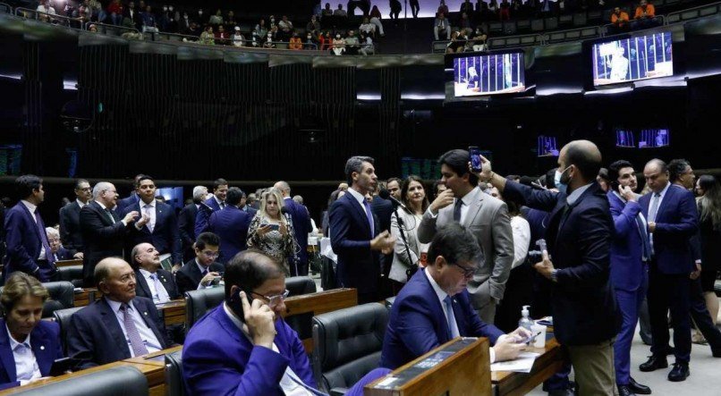 ELAINE MENKE/C&Atilde;MARA DO DEPUTADOS