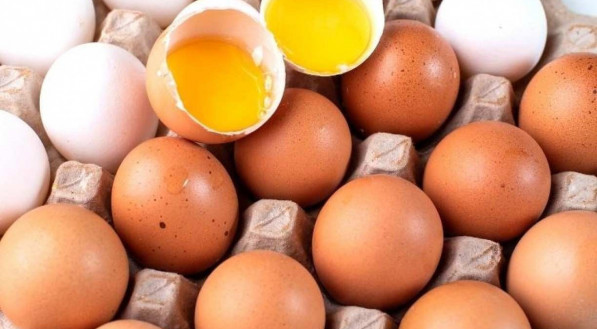 Consumir ovos faz bem para sa&uacute;de e emagrecimento