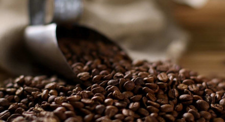 O café produzido em Taquaritinga do Norte tem ligação com a primeira remessa que chegou ao Brasil e se destaca pela qualidade excepcional
