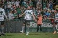 Léo Gamalho, Alef Manga e Warley jogam pelo Coritiba no Brasileirão