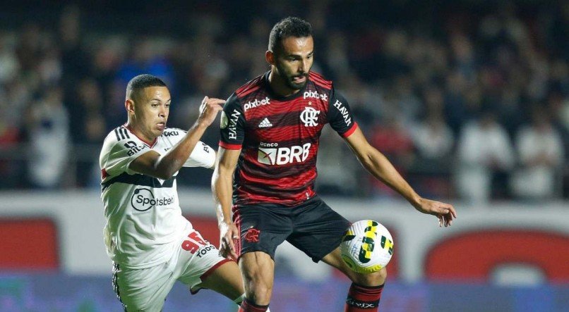 Gilvan de Souza/FLAMENGO