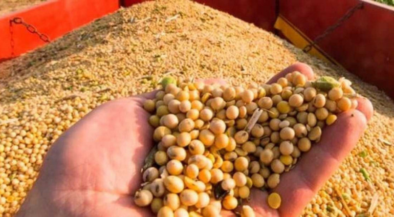 A colheita da safra brasileira de soja 2023/2024 atingiu 20,9% da &aacute;rea plantada no Pa&iacute;s