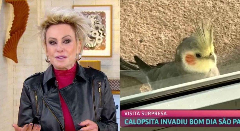 Calopsita invade estúdio da Globo e Ana Maria Braga brinca com semelhança:  