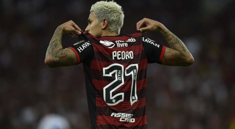 Pedro fez um gola&ccedil;o para o Flamengo sobre o Santos no jogo v&aacute;lido pela 34&ordf; rodada do Brasileir&atilde;o