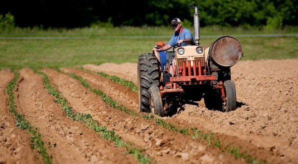 Confira a mais recente forma de investimento no agroneg&oacute;cio 