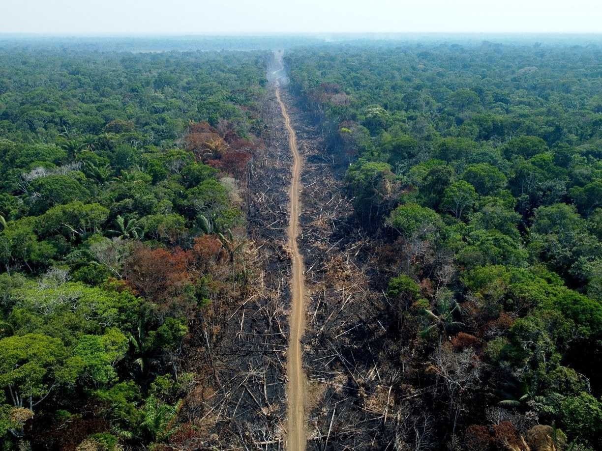 Em posi&ccedil;&atilde;o isolada no governo, Minist&eacute;rio do Meio Ambiente diz que PL do licenciamento ambiental viola Constitui&ccedil;&atilde;o