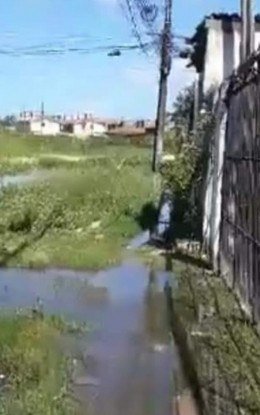 HENRIQUE LOTTO / VOZ DO LEITOR