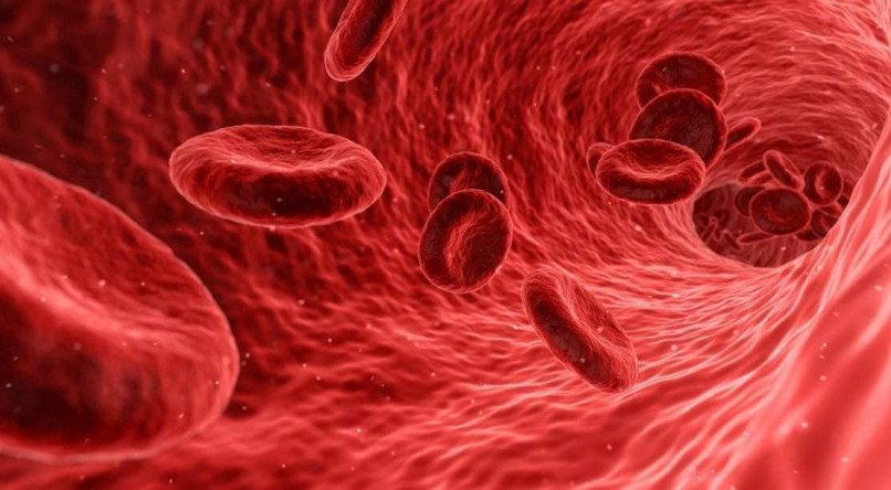 Entenda o que &eacute; o exame de hemoglobina glicada e quem deve faz&ecirc;-lo.