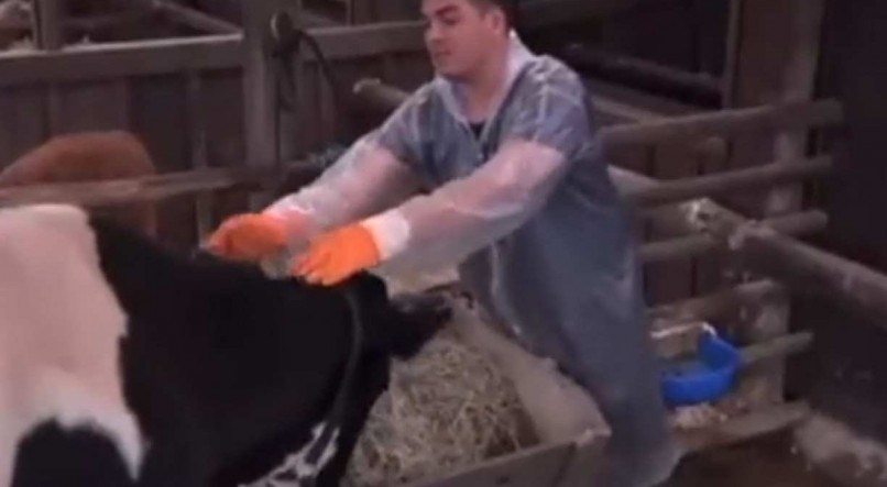 Lucas Santos foi acusado de desrespeitar os animais em A Fazenda