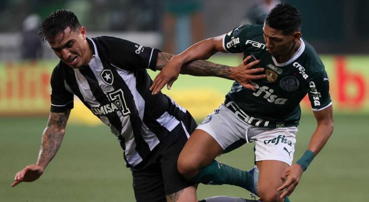 Botafogo X Palmeiras Transmiss O Ao Vivo Hoje Vai Passar No Sportv Confira Onde Assistir Ao